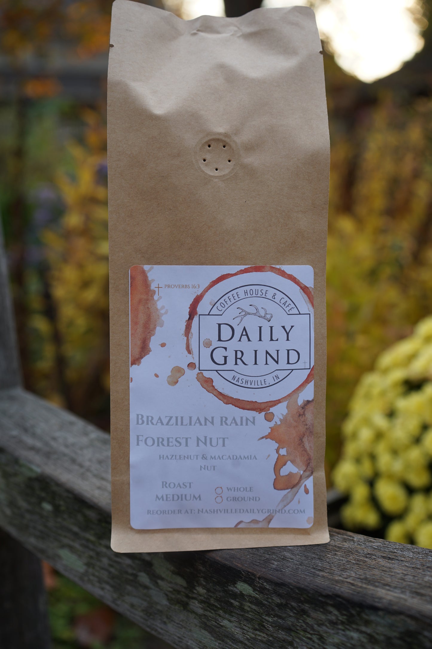 Brazilian Rain Forest Nut