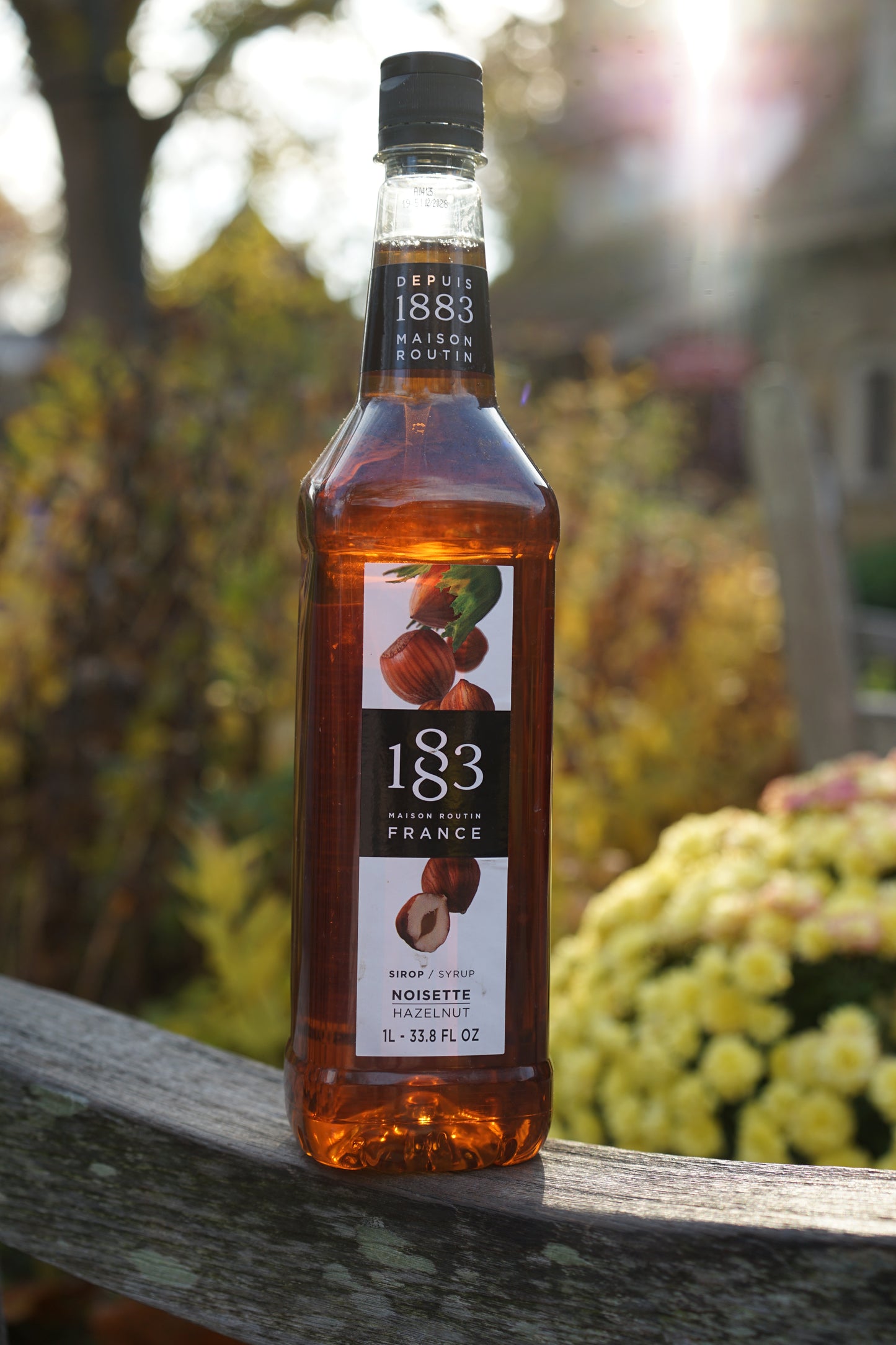 1883 Hazelnut Syrup