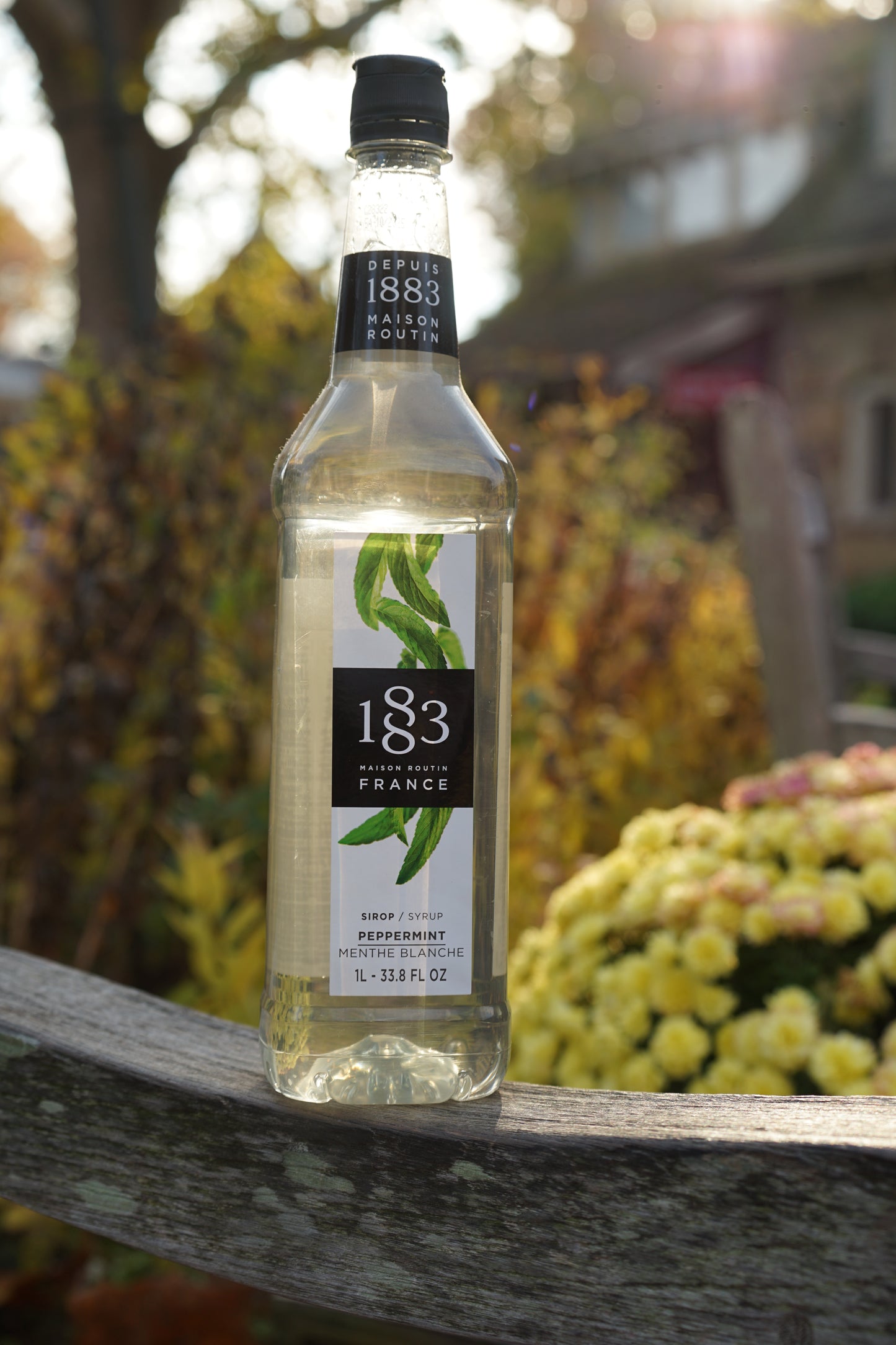 1883 Peppermint Syrup