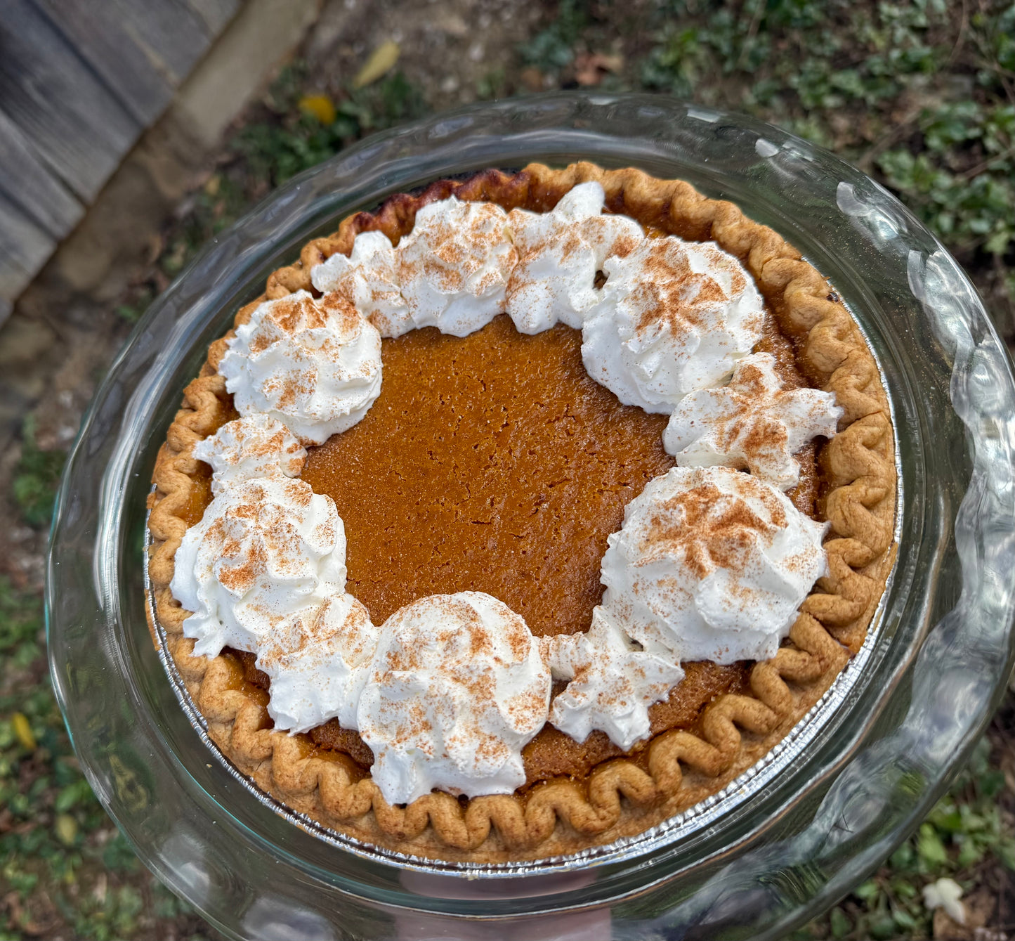 Pumpkin Pie-  Preorder